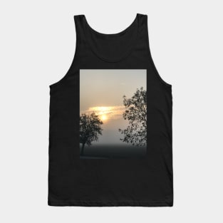 Trees in the fog during the sunset Tank Top